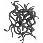 Αποκριάτικα Φίδια Μαύρα - Σετ 12 Τεμαχίων (12cm)